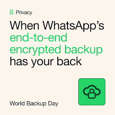 WhatsApp设置默认浏览器，让链接更畅通