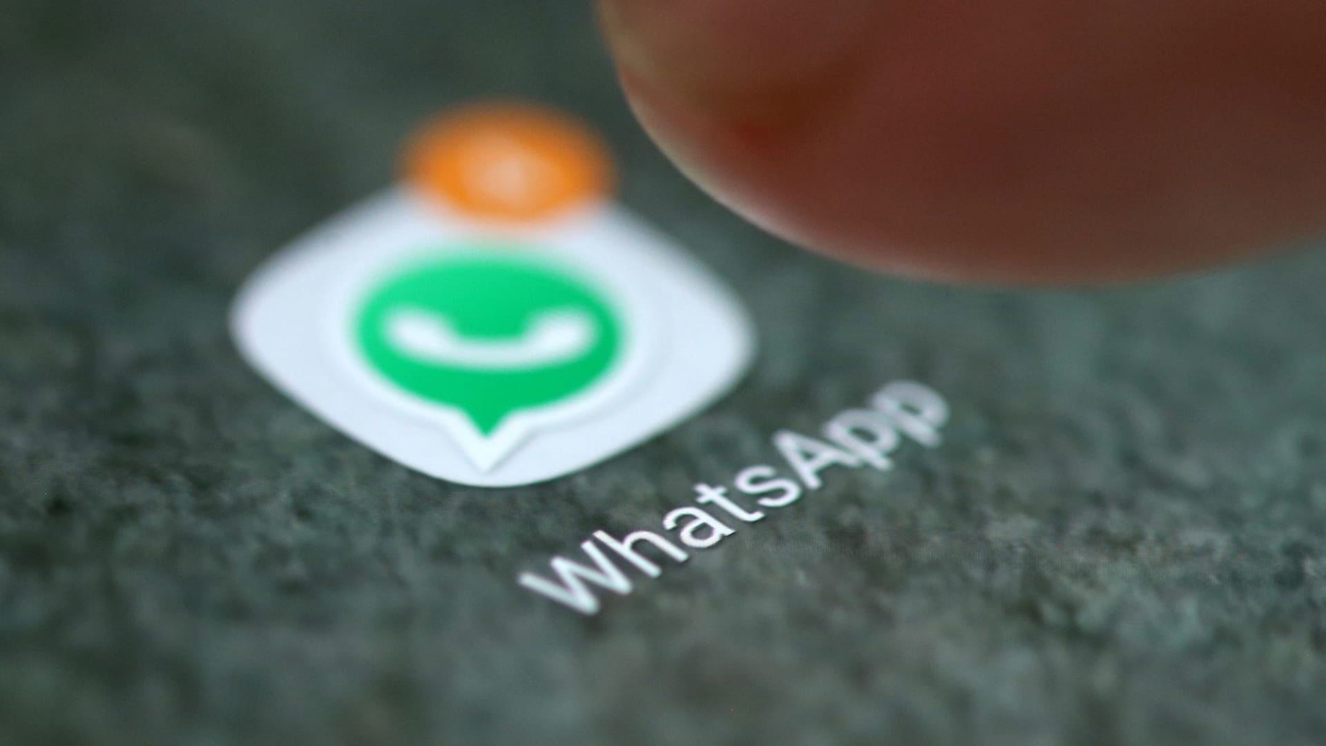 最新版WhatsApp，更便捷多样化的沟通方式