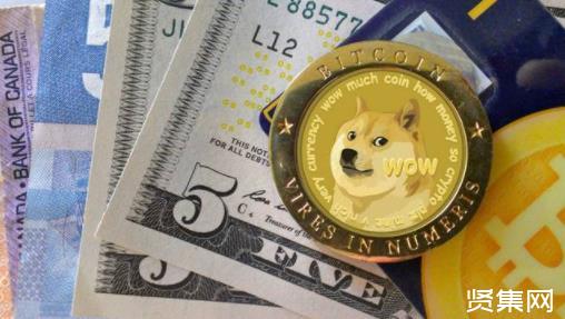 tp钱包不支持狗狗币吗_狗狗币钱包dogecoin_狗狗币提tp钱包选哪个链