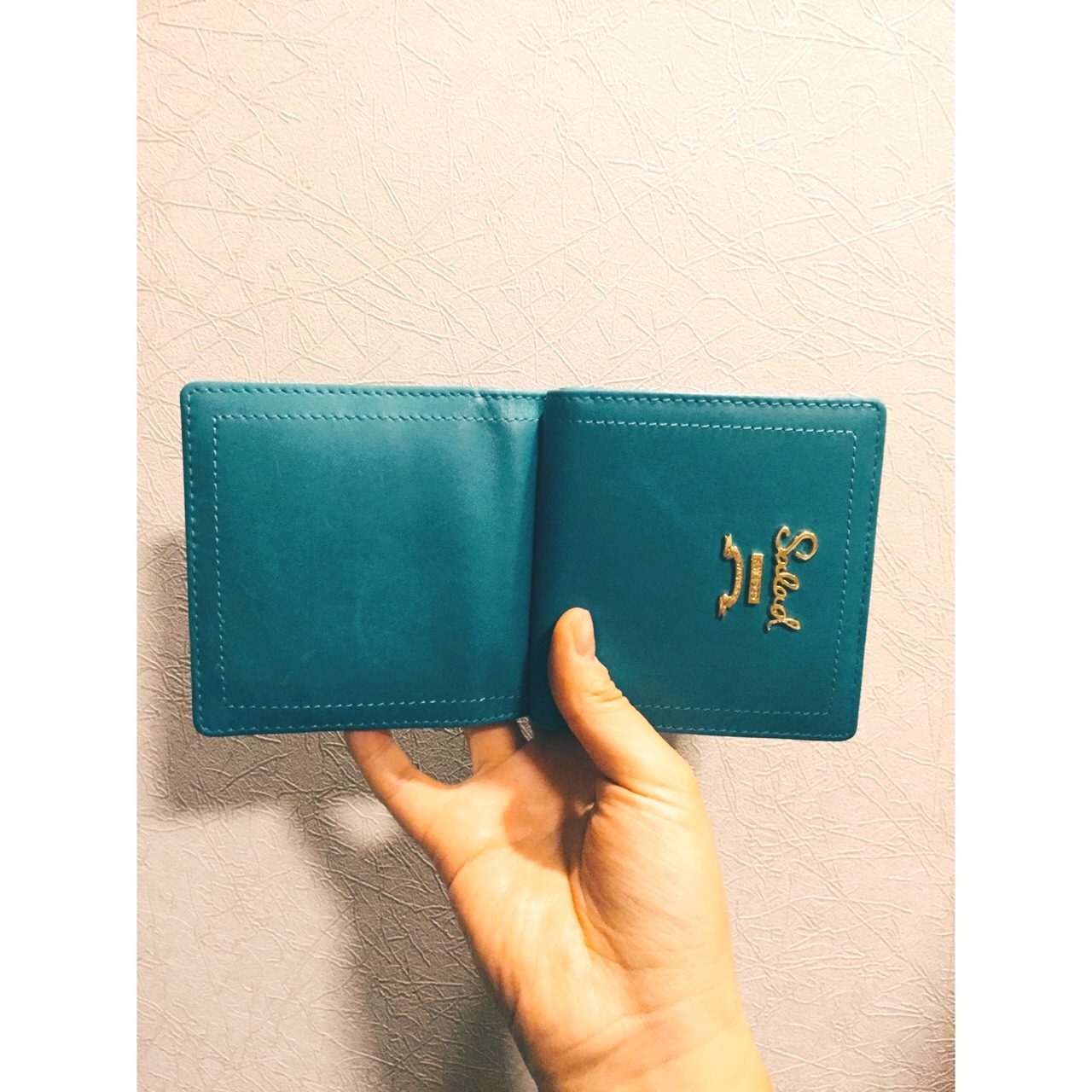 莱特币钱包_tp钱包怎么改成人民币_闪烁币怎么提到钱包