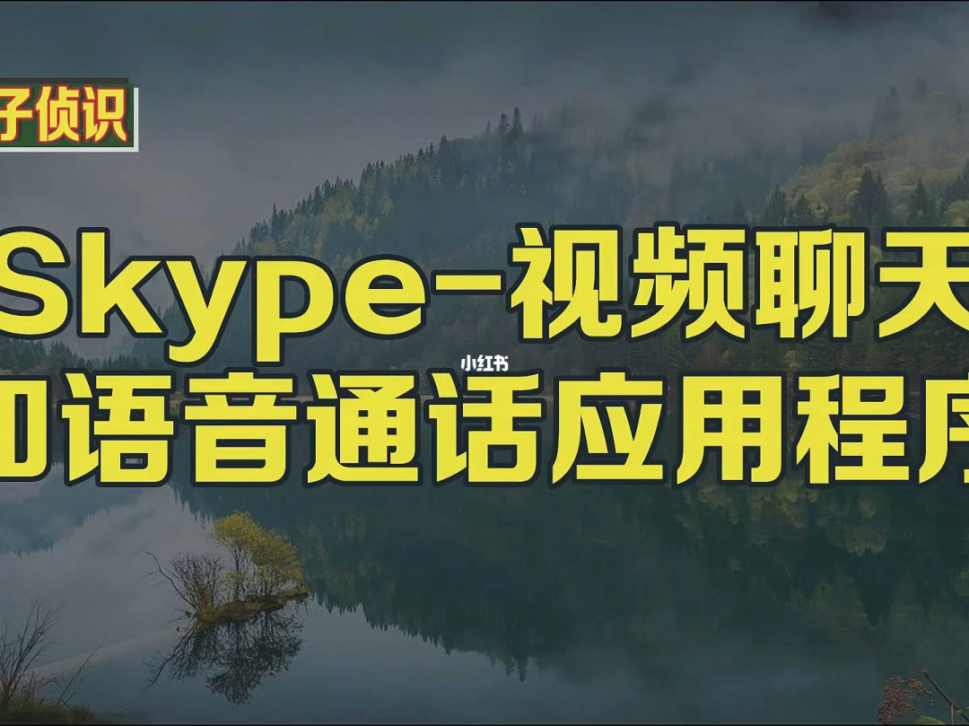 什么样的公司是骗子公司_whatsapp是那个公司_公司是什么意思