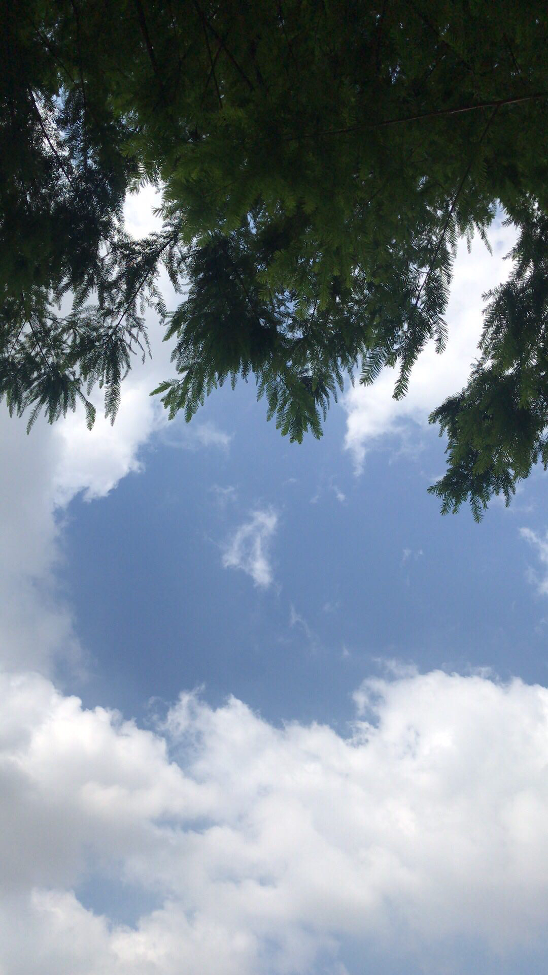 whatsapp聊天壁纸_whatsapp如何聊天_聊天软件