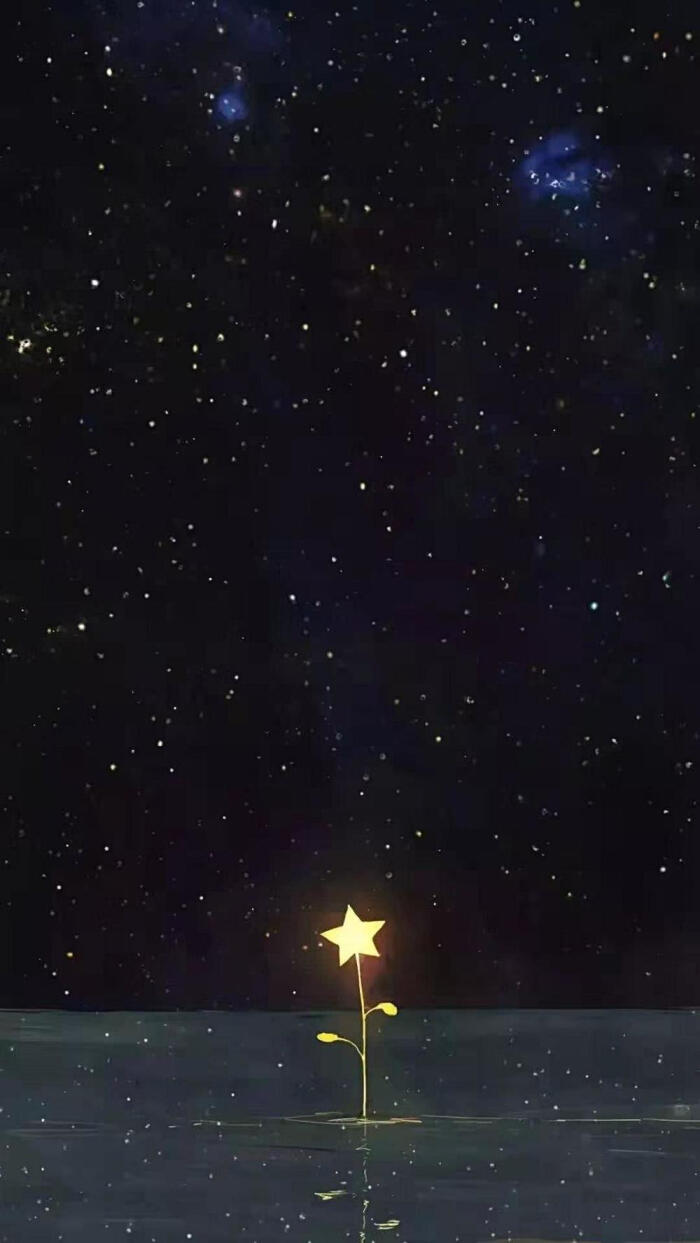 whatsapp如何聊天_聊天软件_whatsapp聊天壁纸