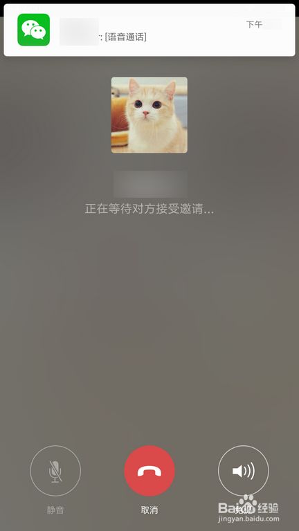 WhatsApp官网版中文下载，畅享最新版本！