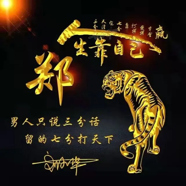 聊天软件_whatsapp_whatsapp如何聊天