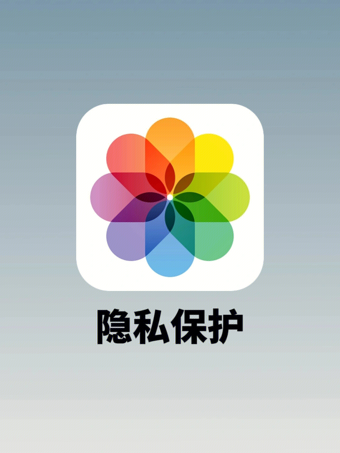 官方版手机管家_whatsapp官方手机版_官方版手机游戏