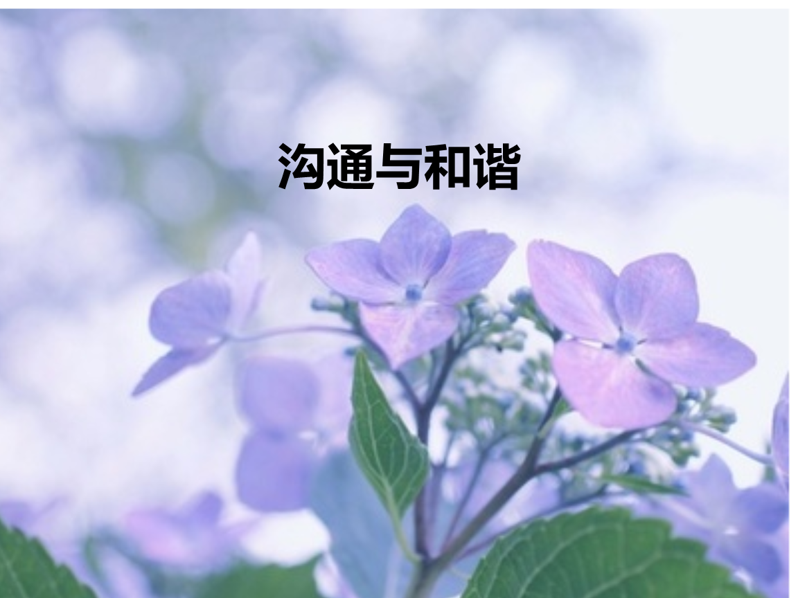 whatsapp下载中文版_whatsapp中文官方下载_whatsapp下载安装
