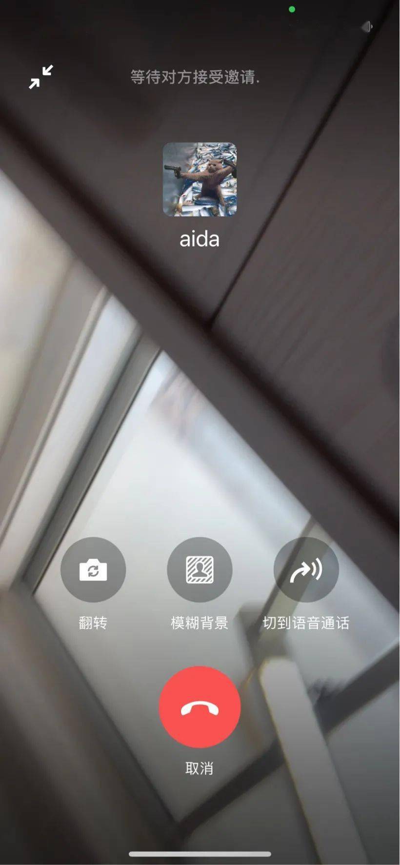 官方谈隐瞒行程亲属不得考公_官方whatsapp免费下载_whatsapp官方app