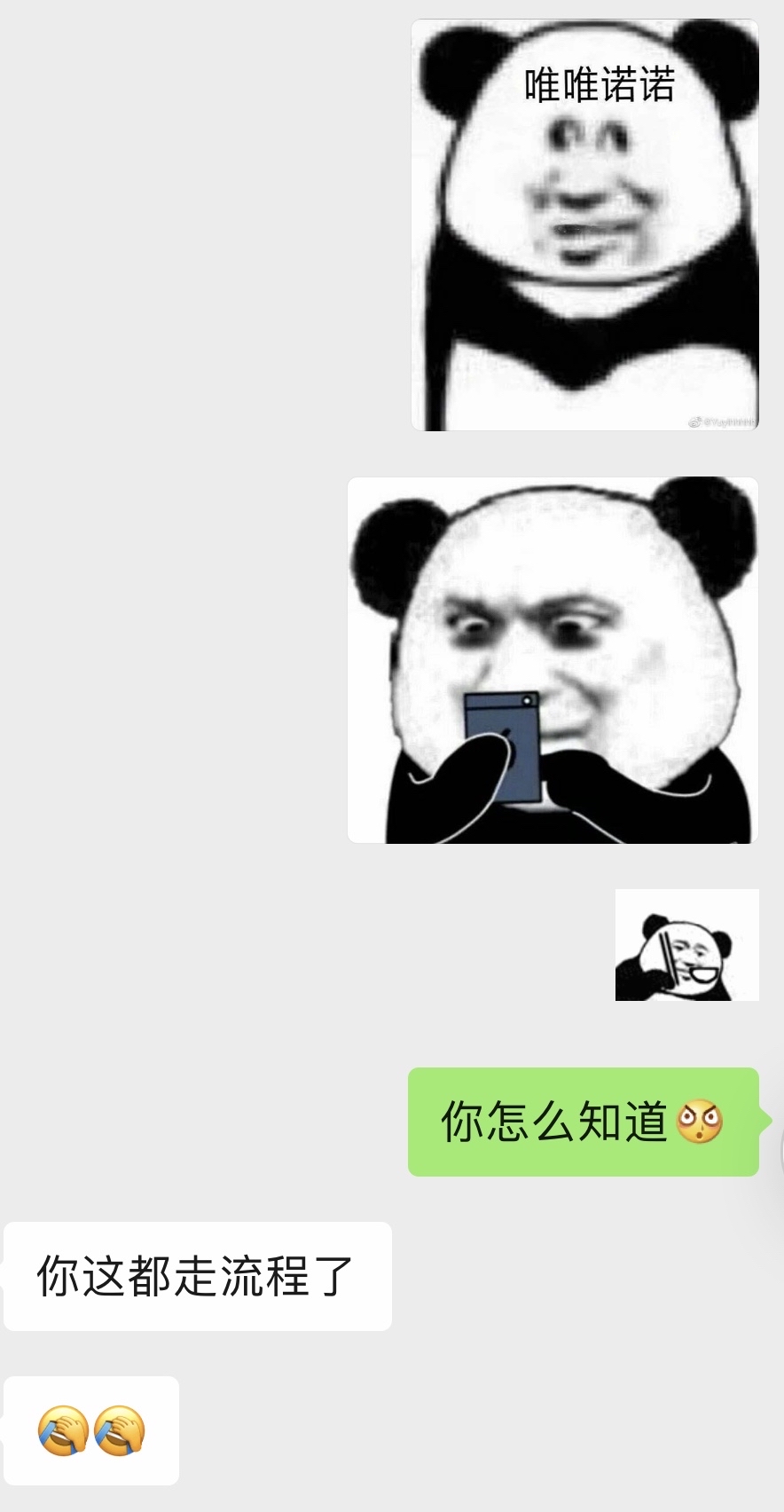 whatsapp_whatsapp如何聊天_whatsapp聊天背景