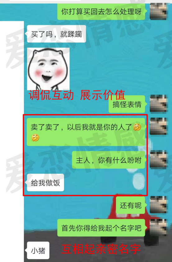 whatsapp聊天背景_whatsapp如何聊天_聊天软件