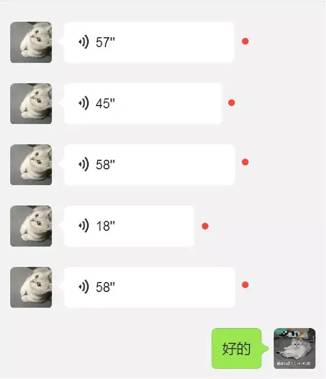 whatsapp最新版_whatsapp最新版_最新版whatsapp下载