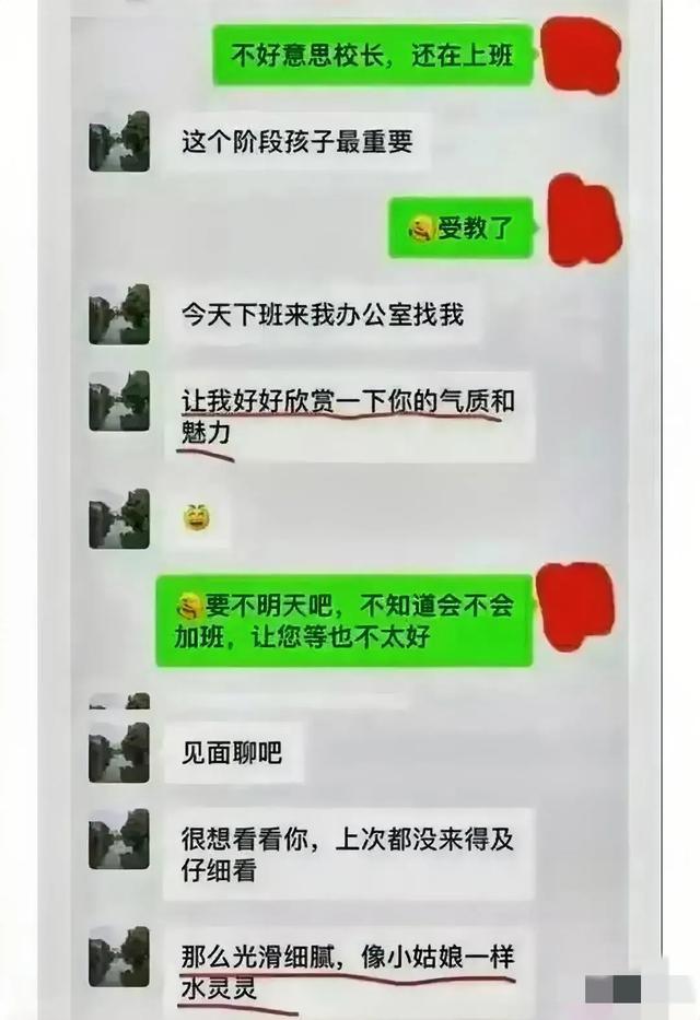 官方whatsapp下载安装_官方回应工人往黄豆酱大小便_whatsapp官方app