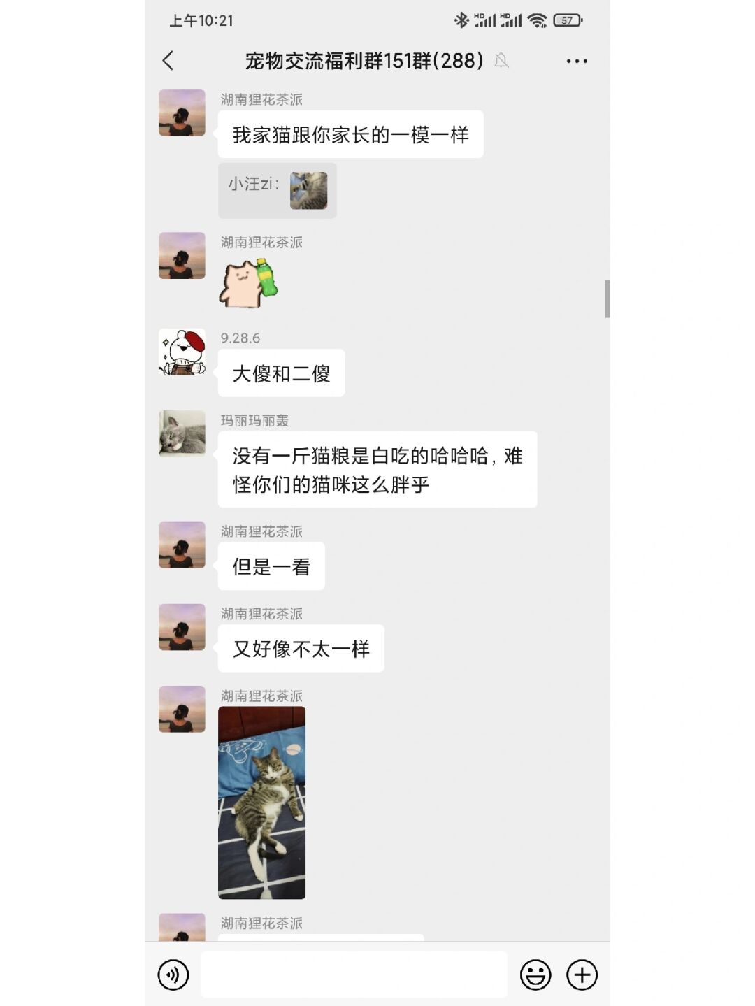 聊天软件_whatsapp_whatsapp如何聊天