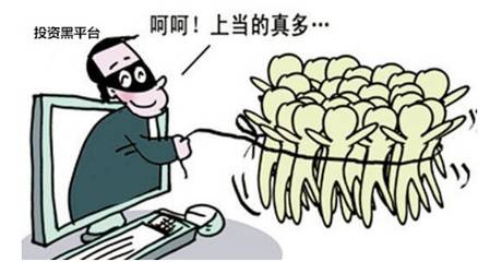 属于是种属关系吗_whatsapp是免费的吗_whatsapp是属于什么