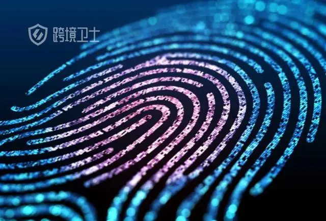 官网下载win10工具太慢了_官网下载波克捕鱼_whatsapp官网下载