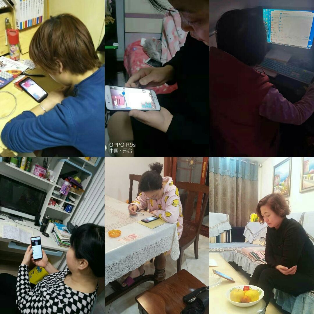whatsapp最新版_whatsapp最新版_whatsapp最新版
