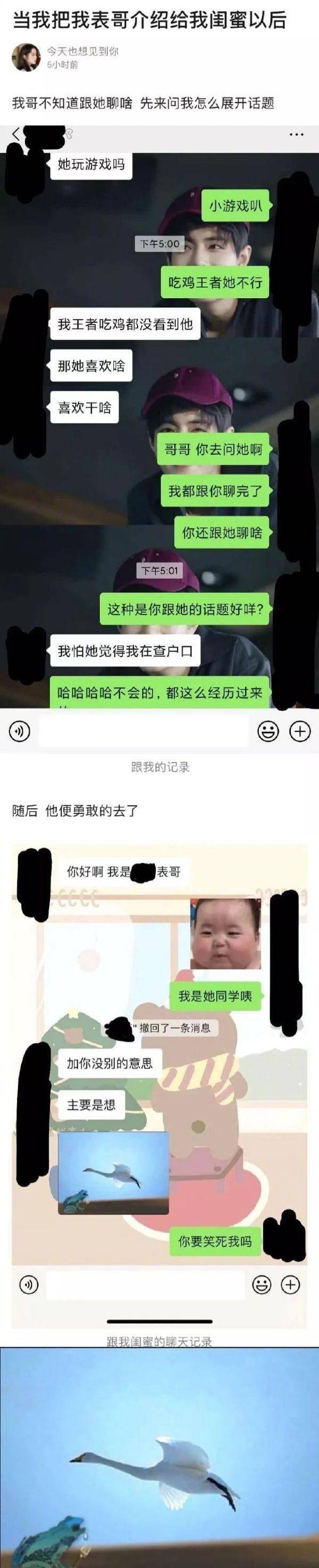 中文最新版泰拉瑞亚_中文最新版樱花校园模拟器_whatsapp中文最新版
