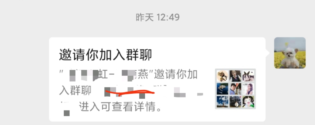 whatsapp怎么使用？_whatsapp被禁止使用_whatsapp是什么