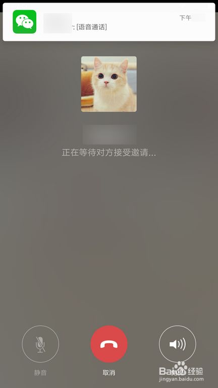 whatsapp怎么使用？_whatsapp是什么_whatsapp怎么能用