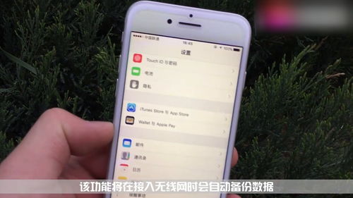 whatsapp中文手机版_中文版手机屏幕色彩调节器_中文版手机steam