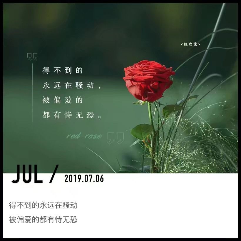 whatsapp怎么视频通话_whatsapp怎么视频通话_whatsapp怎么视频通话