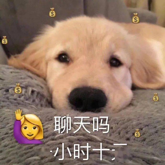 whatsapp官方最新版下载_whatsapp官方最新版下载_whatsapp官方最新版下载
