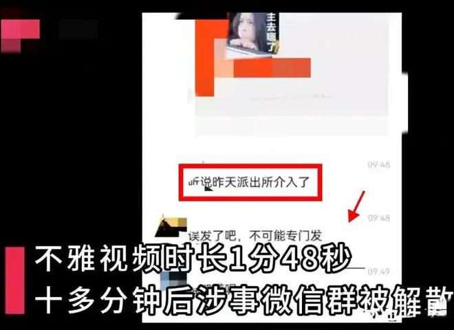 辅音声母k属于是_whatsapp是属于什么_花叶美人蕉属于是