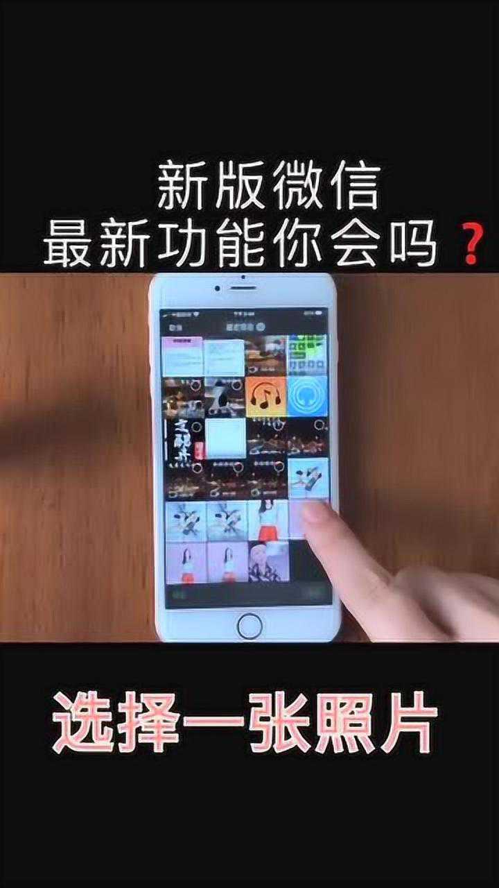 最新版whatsapp官网_whatsapp最新版_whatsapp最新版
