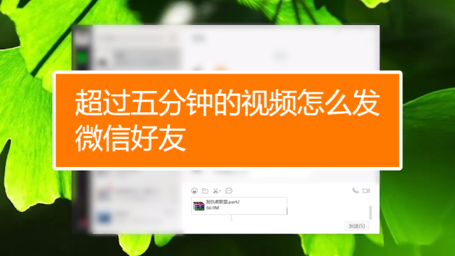 whatsapp是属于什么_花叶美人蕉属于是_隐性感染后获得的免疫属于是