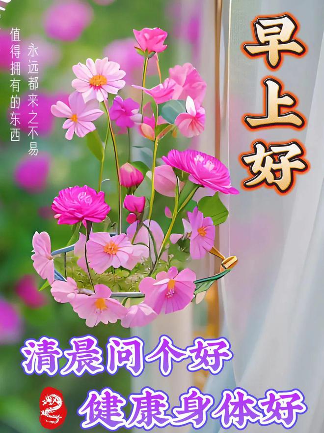 whatsapp最新版_最新版WhatsApp_最新版whatsapp下载