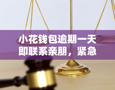 whatsapp官方中文正版_whatsapp国内正版下载_whatsapp中文版