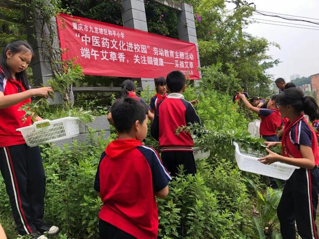 国家是怎么产生的_国家是什么_whatsapp是那国家
