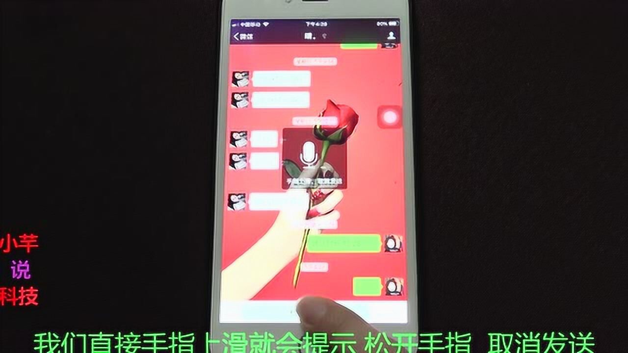 最新版whatsapp官网_最新版whatsapp下载_whatsapp最新版