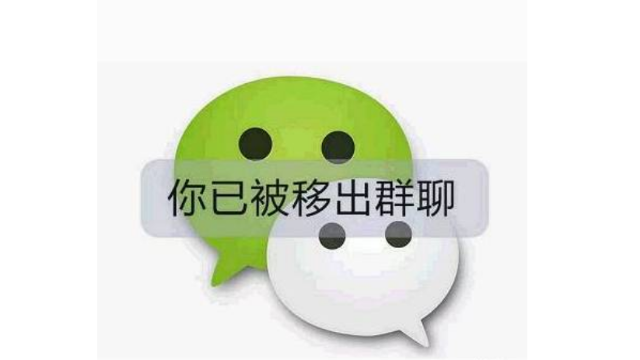 whatsapp是属于什么_西柚属于是_属于是哪一年
