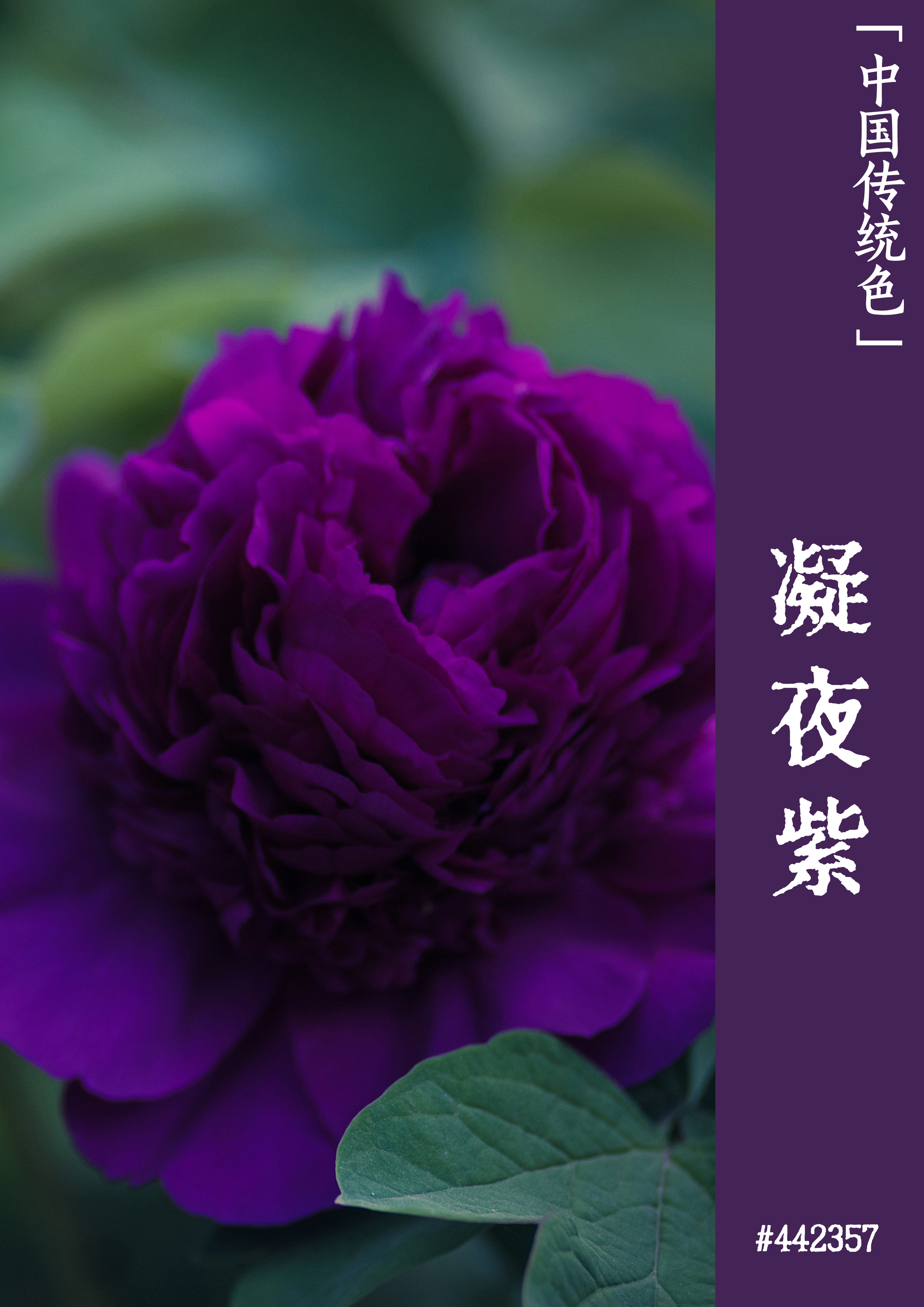 whatsapp是属于什么_属于是哪个符号_属于是什么意思数学