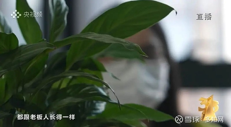 whatsapp最新版_whatsapp最新版_最新版whatsapp官网