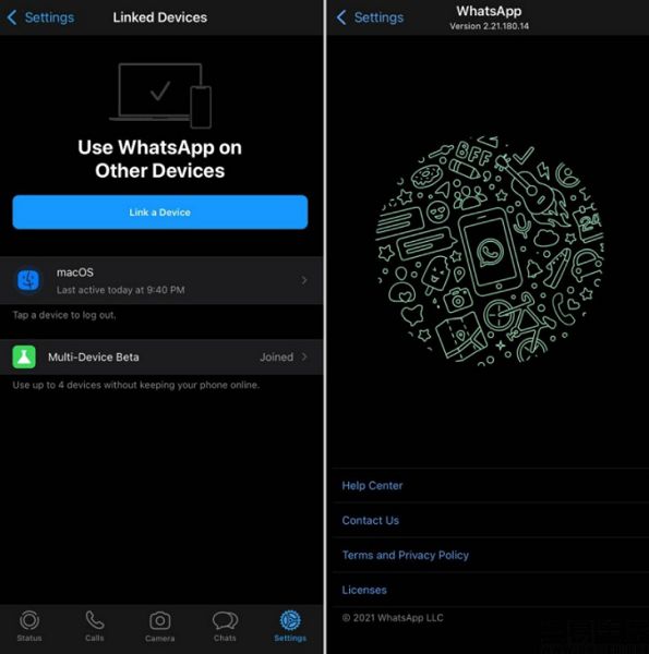 whatsapp国内正版下载_whatsapp中文版_whatsapp官方中文正版