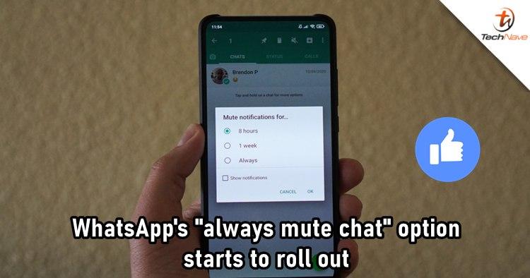 whatsapp是属于什么_whatsapp是免费的吗_西柚属于是