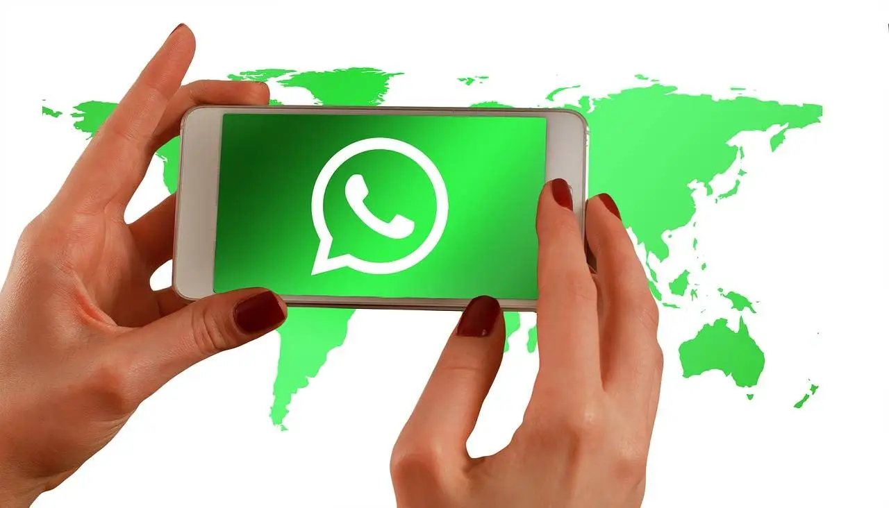 中文最新版樱花校园模拟器下载_whatsapp中文最新版_中文最新版小猫钓鱼游戏破解版