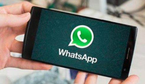 whatsapp安卓版_安卓版whatsapp下载_whatsapp安卓版