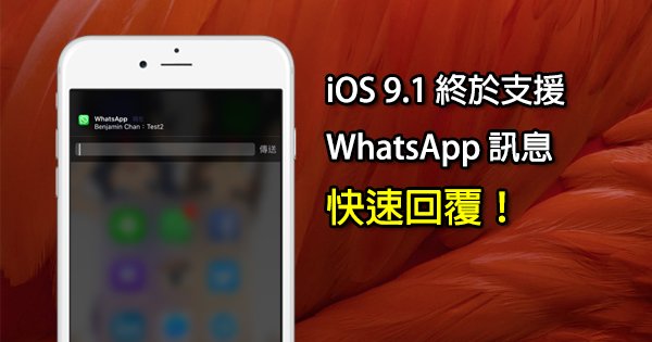 安卓下载whatsapp方法_安卓下载WhatsApp_whatsapp怎么下载安卓