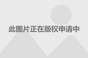 whatsapp官网免费下载_官方下载whatsapp_whatsapp官网版中文下载