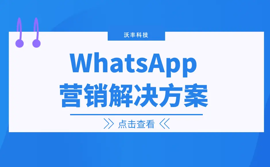 whatsapp中文最新版-WhatsApp 中文最新版：功能强大，设计惊艳，你值得拥有