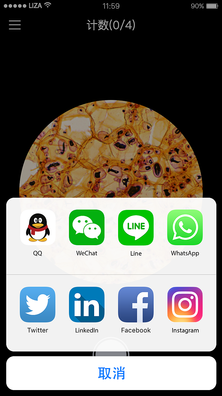k4town中文官方下载_e站中文官方下载_whatsapp中文官方下载