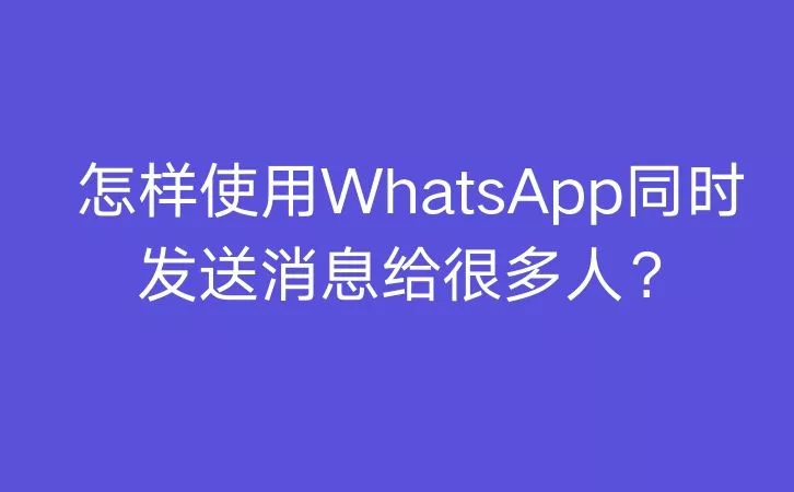 whatsapp怎么使用？_使用伪造变造机动车号牌扣几分_使用的英文