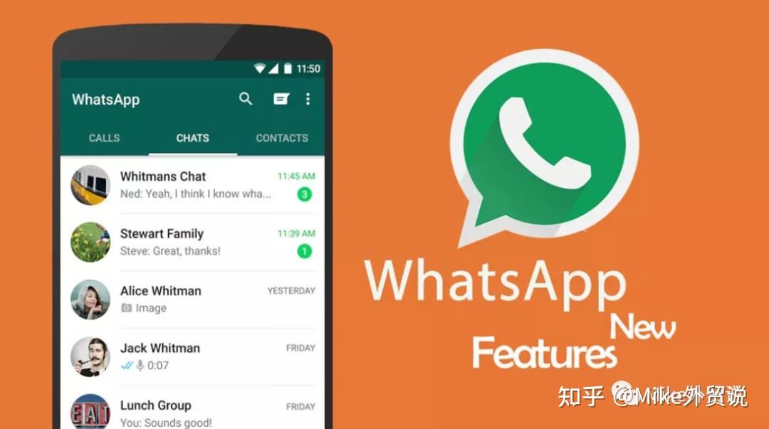 中文版手机电子琴软件_中文版手机电子琴下载安装_whatsapp中文手机版