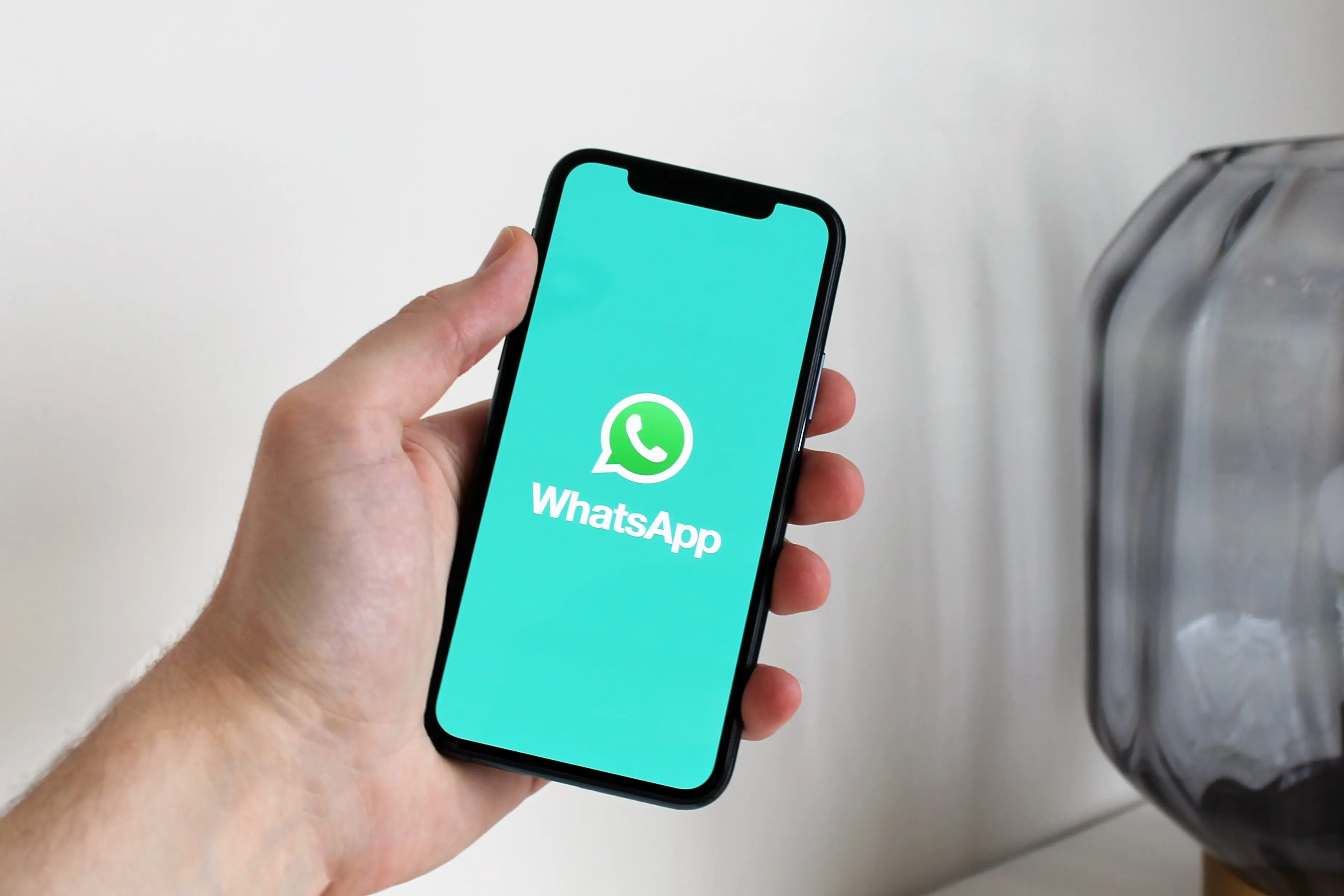 whatsapp官方app-WhatsApp 官方 App：手机里的小宇宙，简洁快速沟通无界限