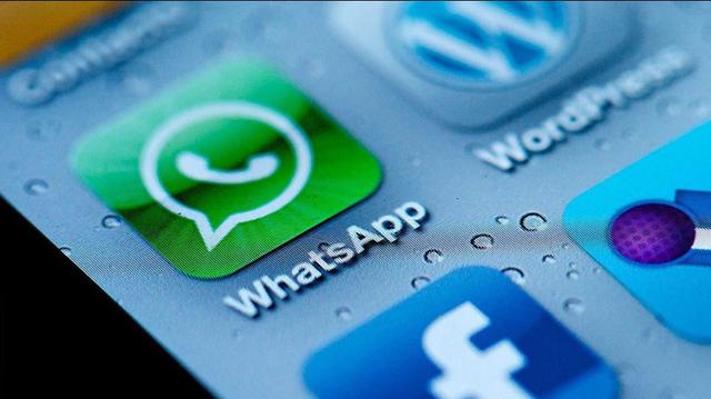 whatsapp中文手机版-WhatsApp 中文手机版：通讯软件海洋中的珍珠，简洁流畅无广告