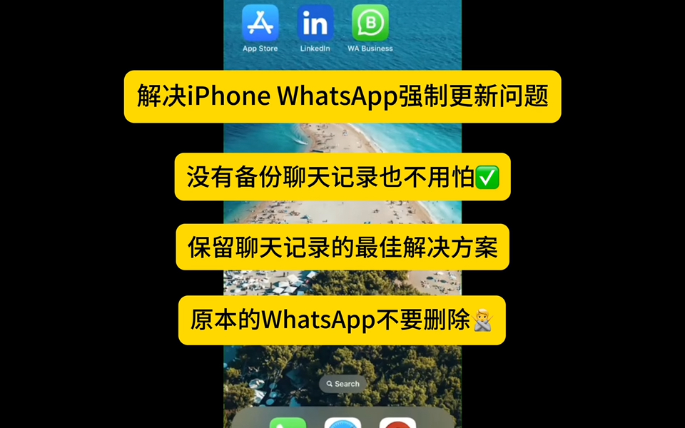 whatsapp最新版下载_whatsapp官方最新版下载_whatsapp官方最新版下载