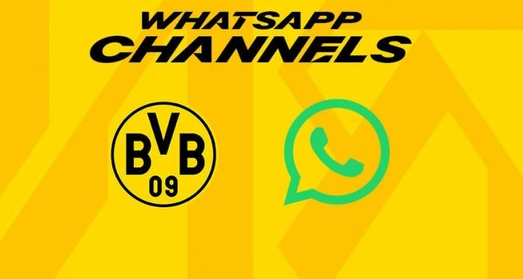 最新版whatsapp下载_whatsapp最新版_最新版WhatsApp